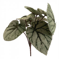 Kungsbegonia på stjälk, 25cm, konstgjord växt
