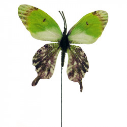 Sommerfugl på stilk, brasil, grøn, kunstig sommerfugl