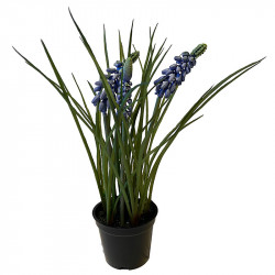 Perlehyacint i potte, blå, 23cm, kunstig blomst