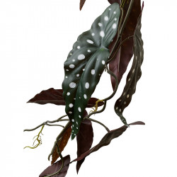 Begonia bladranke m prikker, 105cm, kunstig plante