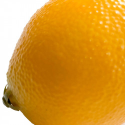 Citron, kunstig mad / kunstig frugt