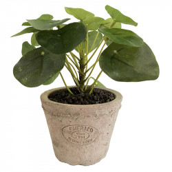 Pilea - Pengeplante i krukke, 13cm, med 21 blade, kunstig plante