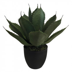 Agave Parrasana plante i sort potte, 50cm, kunstig plante