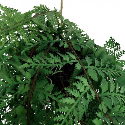 Bregne hænger m rødder, 35cm, kunstig plante