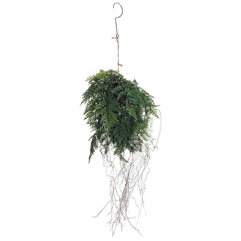 Bregne hænger m rødder, 35cm, kunstig plante
