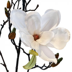 Magnolia gren, 105cm, creme, kunstig blomst