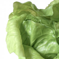 Salathoved, 12cm, grøn, kunstig mad