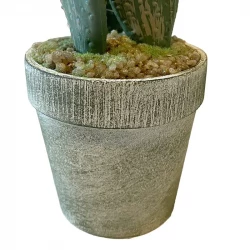 Buy Kaktus i potte, 20cm, kunstig plante