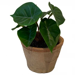 Anthurium i krukke, 13cm, flamingoblomst, kunstig plante