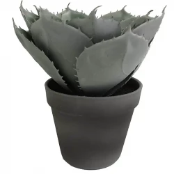 Sukkulent i sort potte, 23cm, kunstig plante