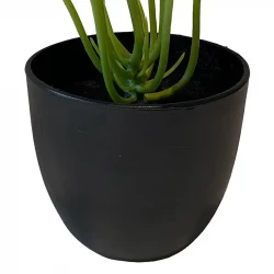Kalatea plante i potte, 25cm, kunstig plante