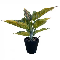 Kroton plante, 25cm, kunstig plante