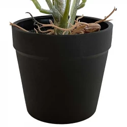 Kroton plante, stribede plante, 25cm, kunstig plante