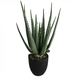 Aloe vera plante i potte, 40cm, kunstig plante