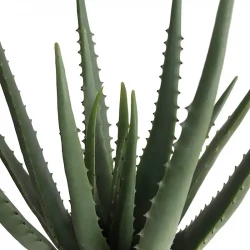 Aloe vera plante i potte, 40cm, kunstig plante