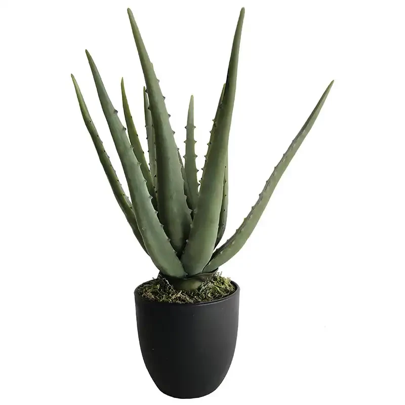 Aloe vera plante i potte, 35cm, kunstig plante