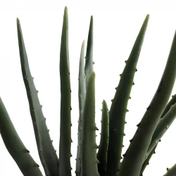 Aloe vera plante i potte, 35cm, kunstig plante