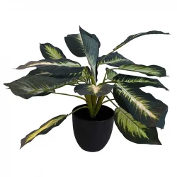 Sigøjnerblad i potte, 43cm, Dieffenbachia, kunstig plante