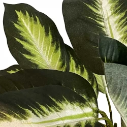 Sigøjnerblad / Dieffenbachia i potte, 43cm, kunstig plante