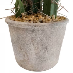 Stetsonia Kaktus i krukke, 40cm, kunstig plante