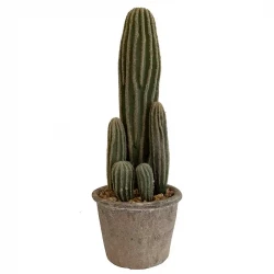 San Pedro Kaktus i krukke, 37cm, kunstig plante