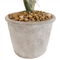 Sabra Kaktus i krukke, 42cm, kunstig plante