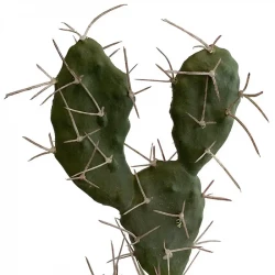 Sabra Kaktus i krukke, 42cm, kunstig plante