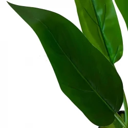 Strelitzia i potte, 60cm, UV, kunstig plante
