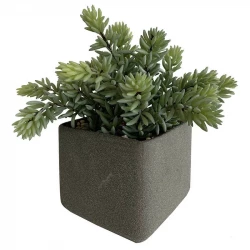 Sukkulent i firkantet grå krukke, 23cm, kunstig plante