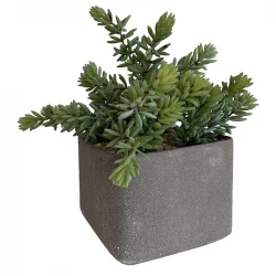Sukkulent i firkantet grå krukke, 27cm, kunstig plante