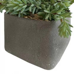 Sukkulent i firkantet grå krukke, 27cm, kunstig plante
