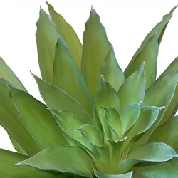 Agave plante i potte, 40cm, UV, kunstig plante