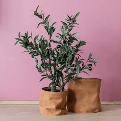 Oliventræ,2 stammer 60cm i sort potte, kunstig plante