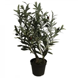 Oliventræ,2 stammer 60cm i sort potte, kunstig plante