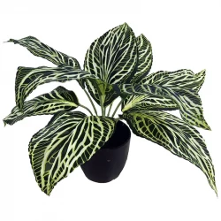 Sømandstrøst / Aglaonema plante i potte, 30cm, kunstig plante