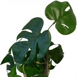 Opbundet monstera plante i potte, 75cm, Kunstig plante