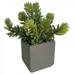 Sukkulent i firkantet grå krukke, 19cm, kunstig plante