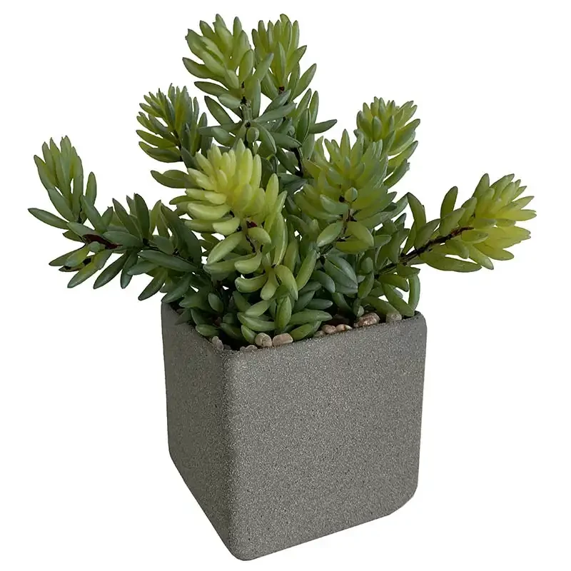 Sukkulent i grå krukke, 19cm, kunstig plante