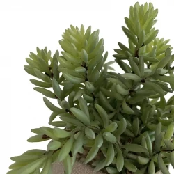Sukkulent i grå krukke, 19cm, kunstig plante