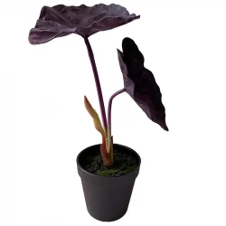 Elefantøre, Alocasia, 40cm, UV, lilla, kunstig plante 