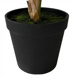 Elefantøre, Alocasia i potte, 40cm, UV, kunstig plante