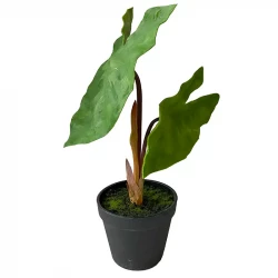 Elefantøre, Alocasia i potte, 40cm, UV, kunstig plante   