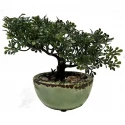 Bonsai mini træ i grøn krukke, 19cm, kunstig plante