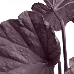 Begonia i potte, 81cm, UV, lilla, kunstig plante