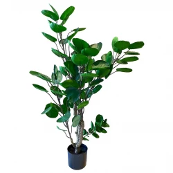 Aralia i potte, 108cm, Polyscias fabian, kunstig plante