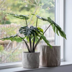Monstera plante i sort potte, 60cm, 8 blade, kunstig plante