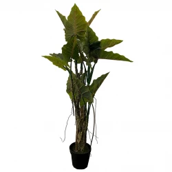 Colocasia araceae i potte, 195cm, kunstig plante