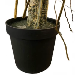 Colocasia araceae i potte, 195cm, kunstig plante