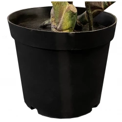 Colocasia i potte, 175cm, kunstig plante