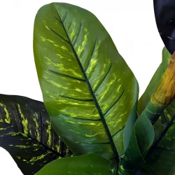 Sigøjnerblad i potte, H150cm, dieffenbachia, kunstig plante